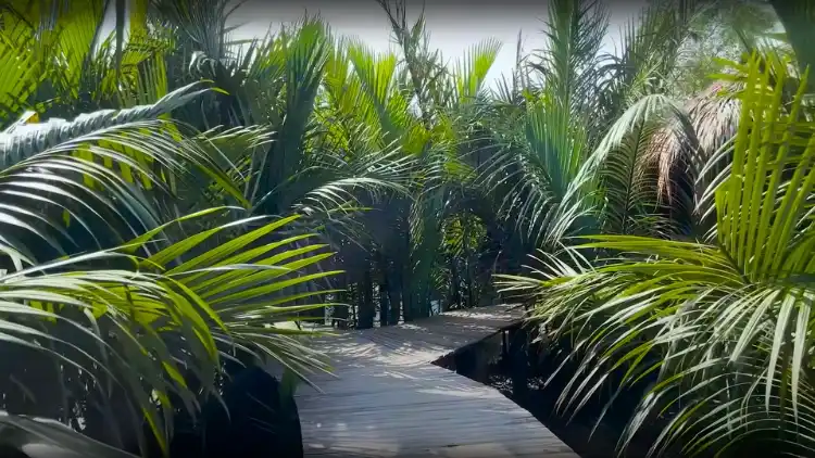 প্রবেশ ফি ও গাইড খরচ