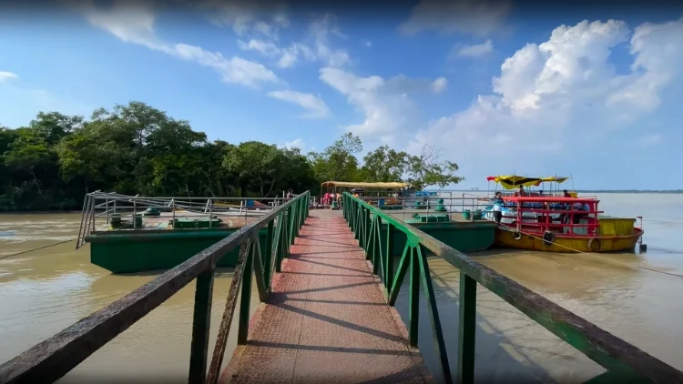 সুন্দরবন ভ্রমণের সময়কাল ও প্যাকেজ