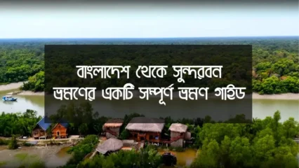 বাংলাদেশ থেকে সুন্দরবন ভ্রমণ গাইড