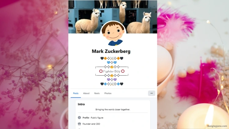 Fb Bio