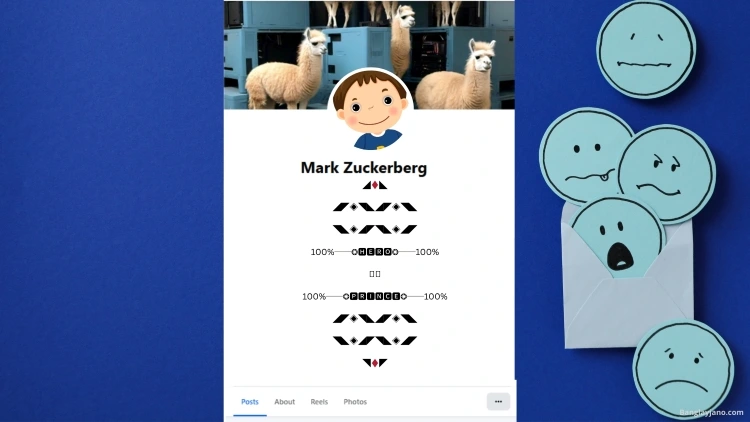 Fb Bio