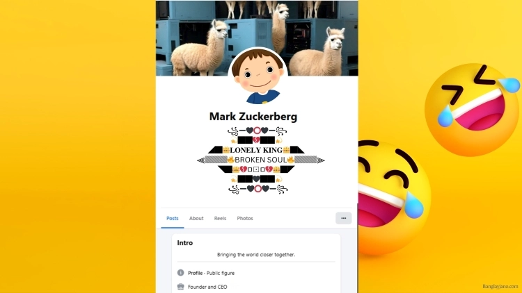 Fb Bio