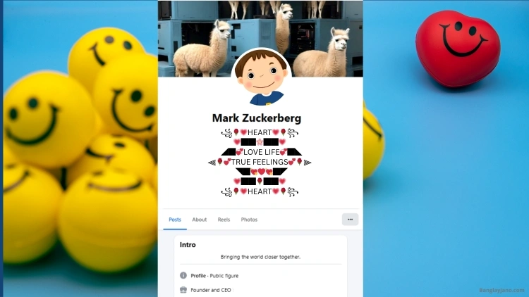 Fb Bio