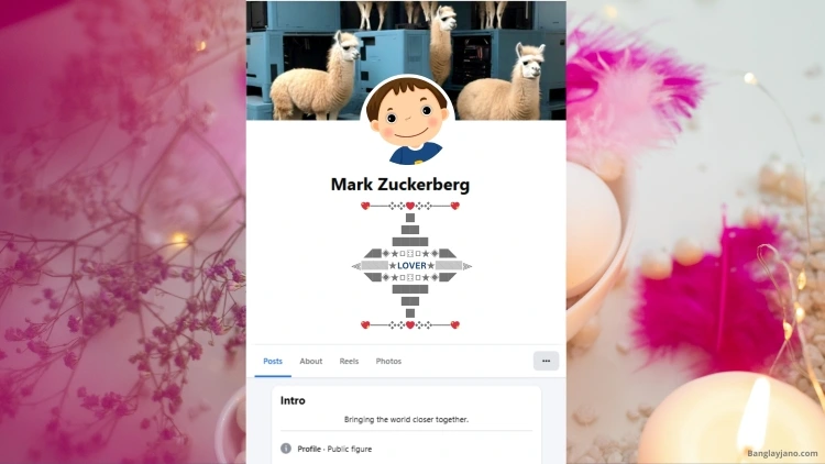 Fb Bio