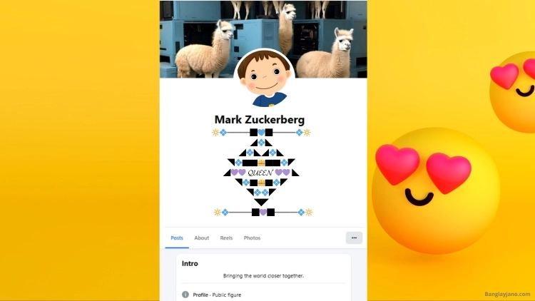 Fb Bio