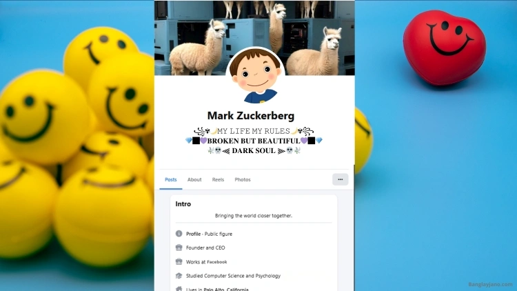 Fb Bio