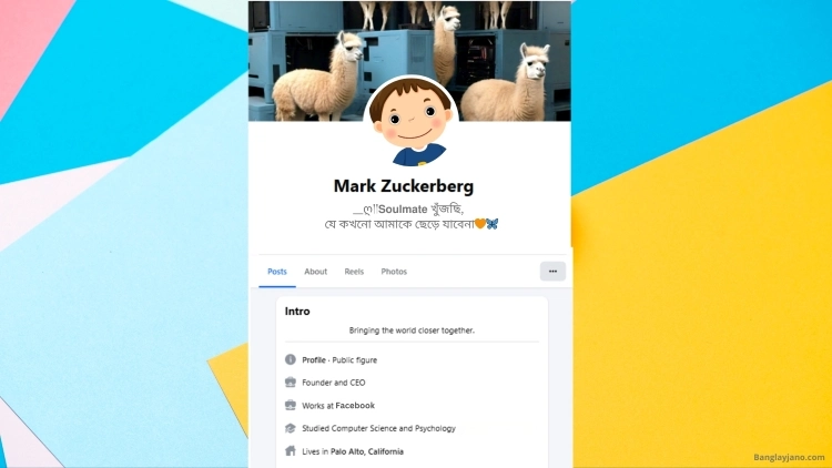 Fb Bio